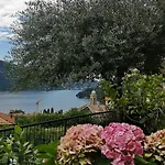 La Dolce Vista By My In Moltrasio